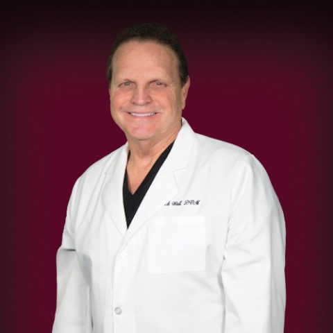 The Woodlands, TX Veterinarians Center For Veterinary Pain Management