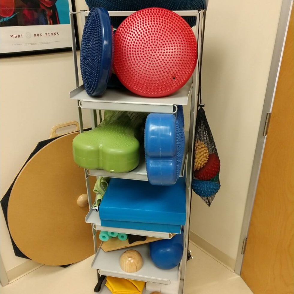 About The Woodlands, TX Veterinarian Center For Veterinary Pain